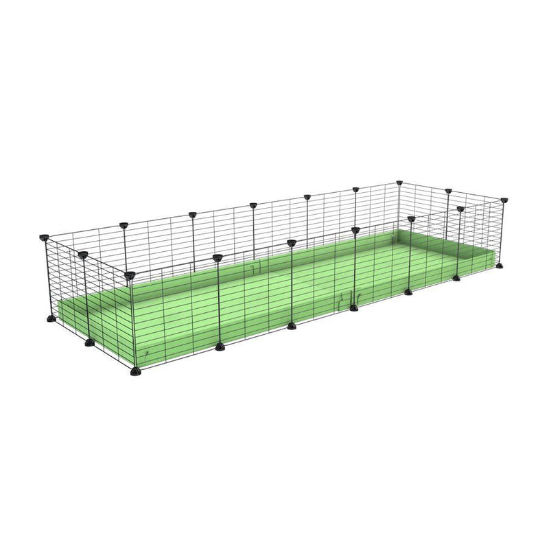 une cavy cage 6x2 pour cochons d'inde avec coroplast vert pistache et grilles fines avec petits trous de kavee