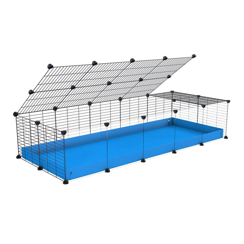 une cavy cage 5x2 pour cochons d'inde avec panneaux transparents en plexiglass avec couvercle coroplast bleu et grilles avec barreaux etroits de kavee