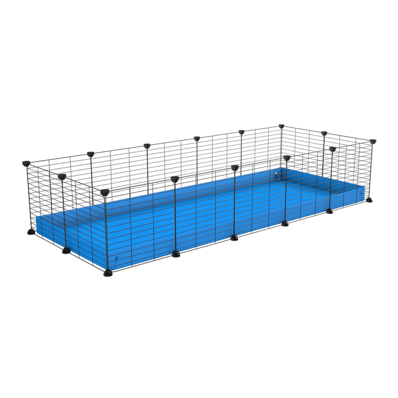 une cavy cage 5x2 pour cochons d'inde avec coroplast bleu et grilles fines avec petits trous de kavee