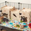 cochon d'inde tricolore à l'intérieur du château fort pour cavy cage Kavee sur un tapis polaire Veggie