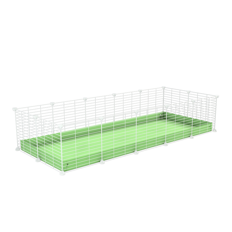 une cavy cage 5x2 pour cochons d'inde avec coroplast vert pistache et grilles blanches fines avec petits trous de kavee