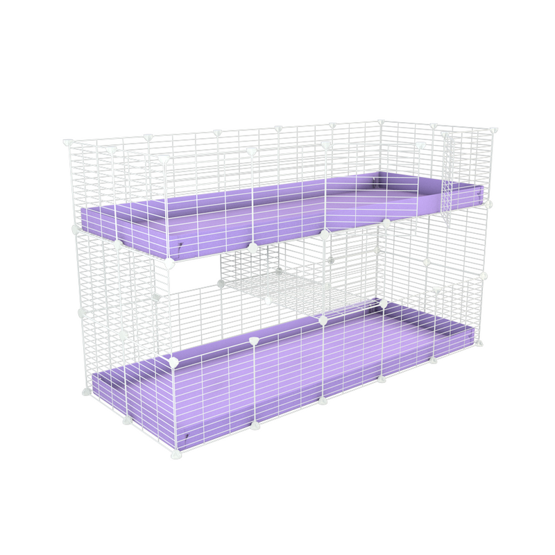 Une cavy cage double blanche deux etages 5x2 pour cochons d'inde coroplast noir Kavee