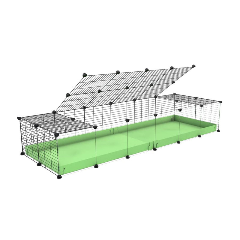 une cavy cage 6x2 pour cochons d'inde avec panneaux transparents en plexiglass avec couvercle coroplast vert pistache et grilles avec barreaux etroits de kavee
