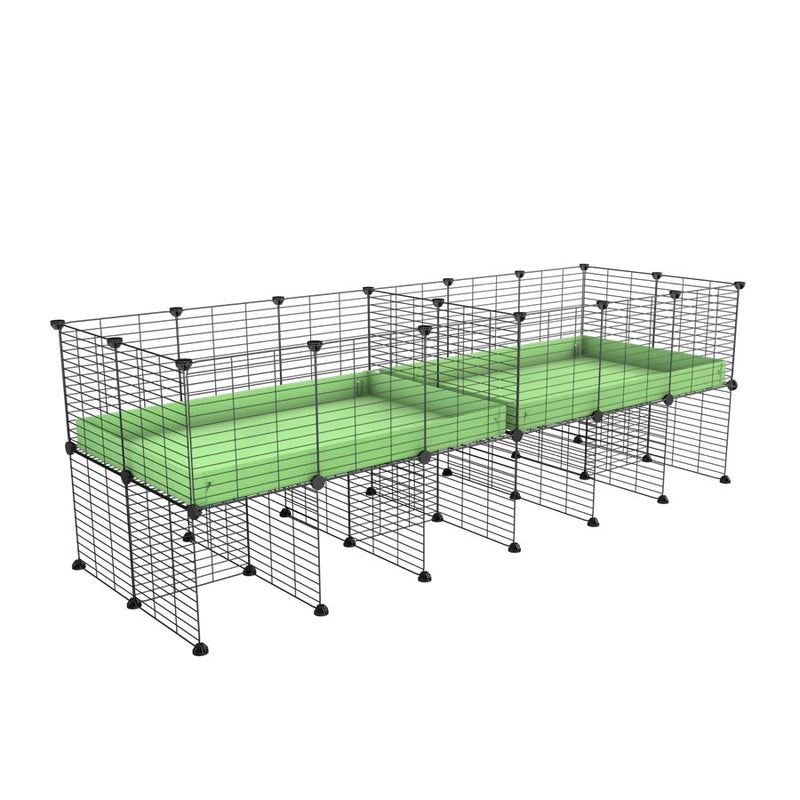 une cavy cage 6x2 stand avec separation pour cochons d'inde qui se battent ou en quarantaine avec coroplast vert kavee