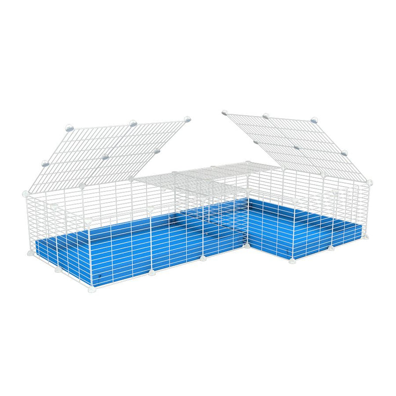 une cavy cage blanche 6x2 en L avec couvercle et separation pour cochons d'inde qui se battent ou en quarantaine avec coroplast bleu kavee