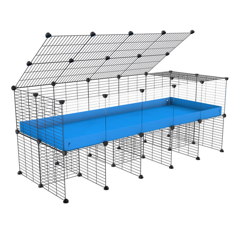 une cavy cage 5x2 avec panneaux transparents en plexiglass pour cochons d'inde avec rehausseur couvercle correx bleu et grilles fines de kavee france