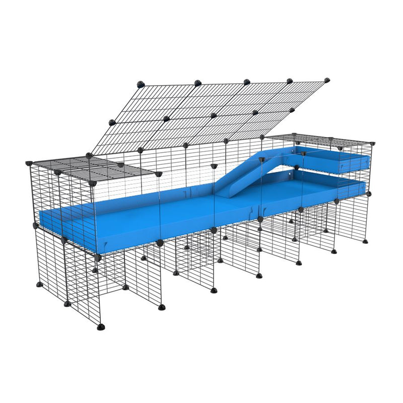 une kavee cage 6x2 avec panneaux transparents en plexiglass  pour cochons d'inde avec rehausseur couvercle loft rampe coroplast bleu et grilles fines