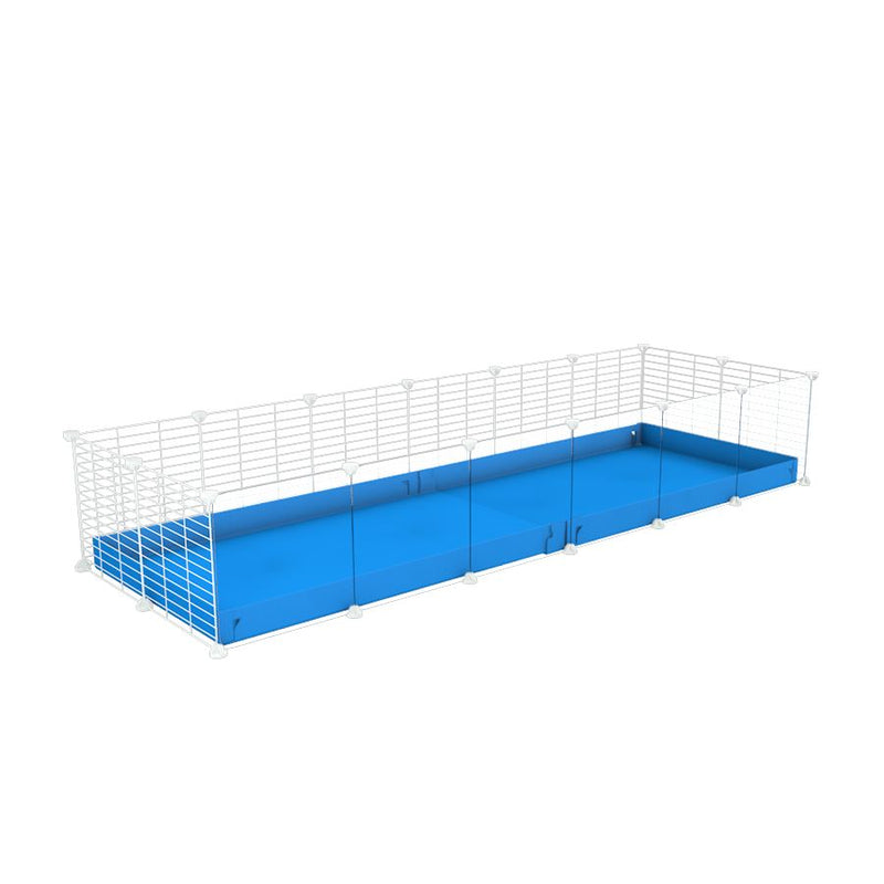 une cavy cage 6x2 avec panneaux transparents en plexiglass  pour cochons d'inde avec coroplast bleu et grilles blanches fines avec petits trous de kavee
