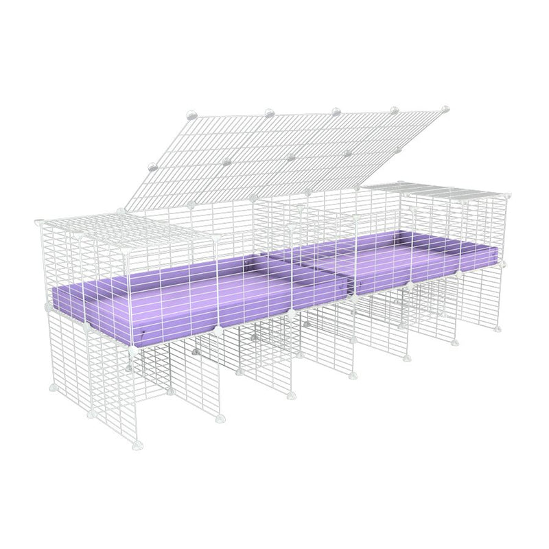 une cavy cage blanche 6x2 stand avec couvercle et separation pour cochons d'inde qui se battent ou en quarantaine avec coroplast lilas violet kavee
