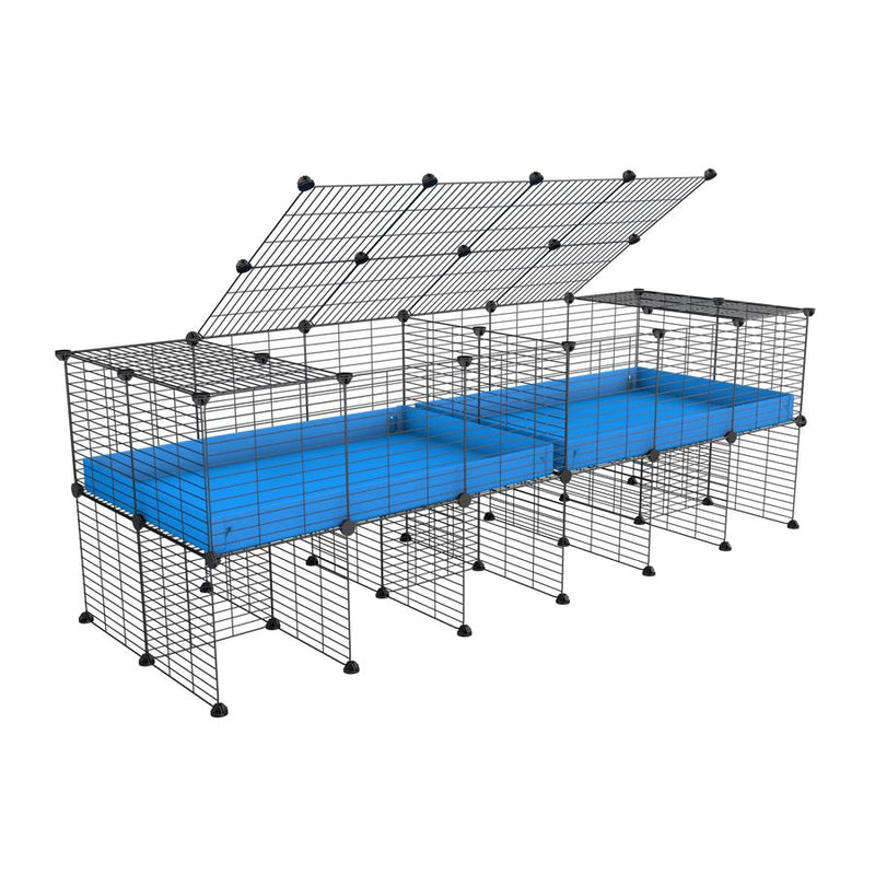une cavy cage 6x2 stand avec couvercle et separation pour cochons d'inde qui se battent ou en quarantaine avec coroplast bleu kavee