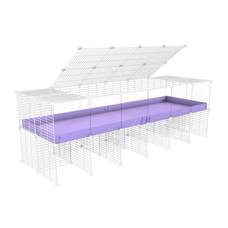 une cavy cage 6x2 avec panneaux transparents en plexiglass  pour cochons d'inde avec rehausseur couvercle correx violet lilas et grilles blanches fines de kavee france